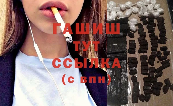 apvp Бородино