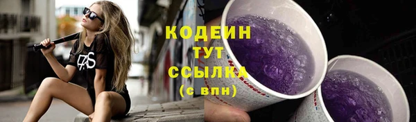МДПВ Богородицк