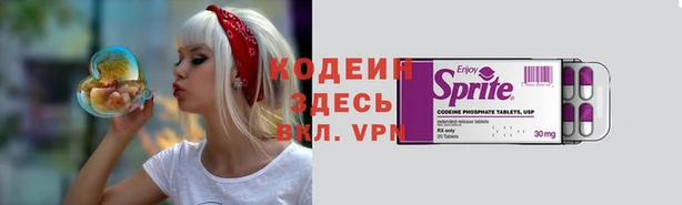 apvp Бородино
