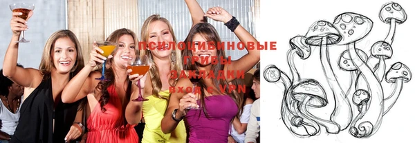 apvp Бородино