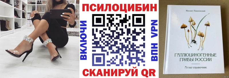 Псилоцибиновые грибы Psilocybe  Калтан 